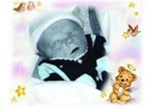 Cook Southland Funeral Chapel - Kallenberger(November 28, 2008)